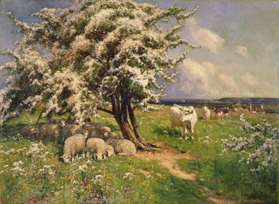 Sheep and Cattle in a Landscape by Arthur Walker Redgate